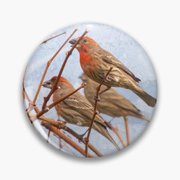 Item preview, House Finches With Seeds  designed and sold by CarolM.