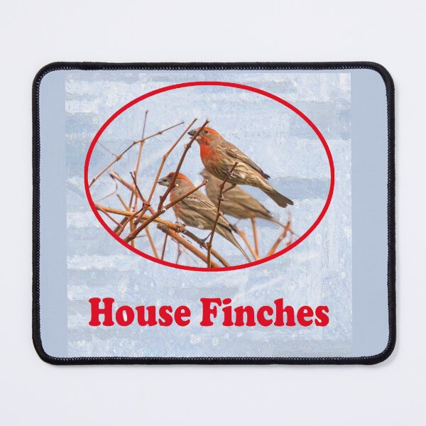 Item preview, House Finches With Seeds designed and sold by CarolM.