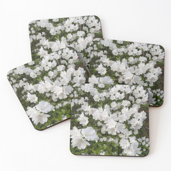 Item preview, White azaleas, Atlanta Springtime  designed and sold by roflinn.