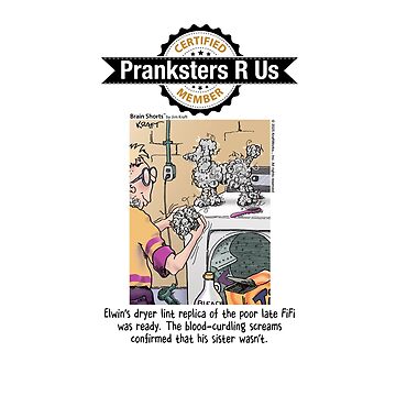 Artwork thumbnail, Pranksters R Us Practical Joker by Brain Shorts