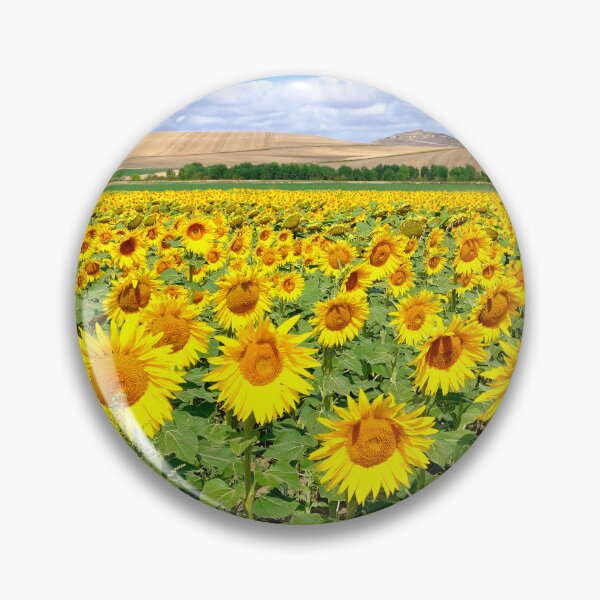 Item preview, Sunflower field designed and sold by troianifabrizio.