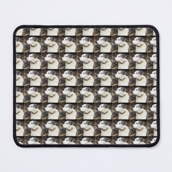 Item preview, Magpie Springs Cellar Door Dog Bonnie – Adelaide Hills Koolie Art Print designed and sold by MagpieSprings.