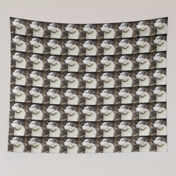 Item preview, Magpie Springs Cellar Door Dog Bonnie – Adelaide Hills Koolie Art Print designed and sold by MagpieSprings.
