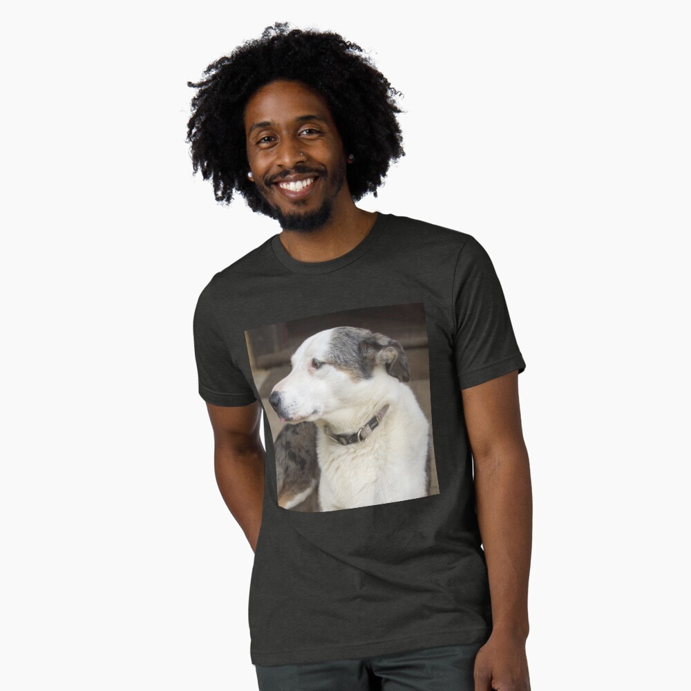 Item preview, Tri-blend T-Shirt designed and sold by MagpieSprings.