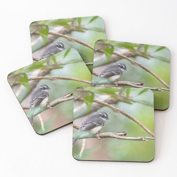 Item preview, Grey fan tail  designed and sold by Mslphotography.