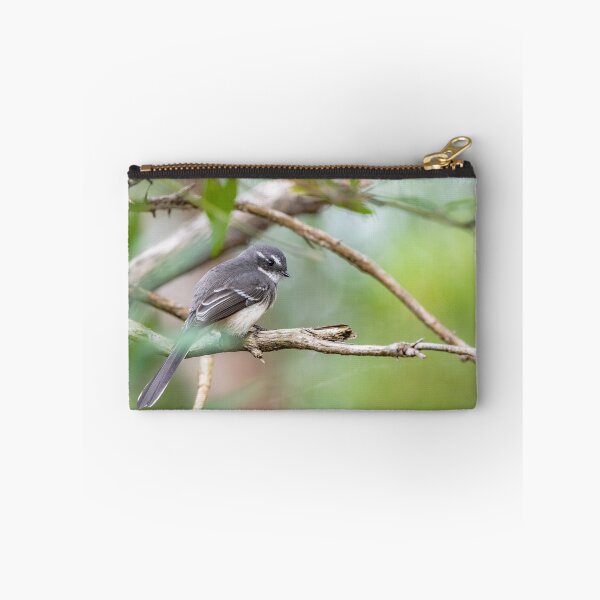 Item preview, Grey fan tail  designed and sold by Mslphotography.
