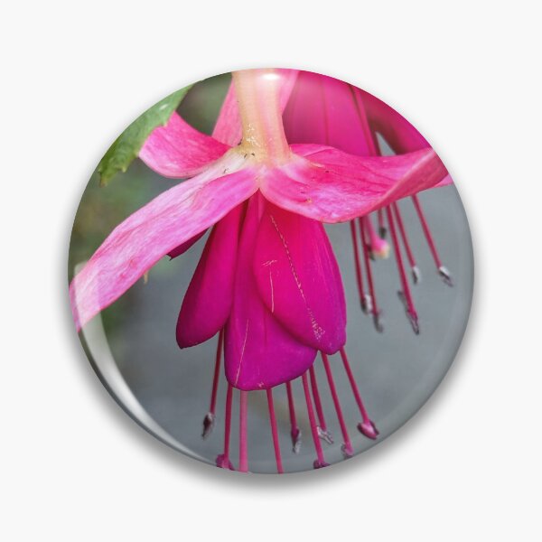 Item preview, Pink fuscia designed and sold by Jenny Dean.