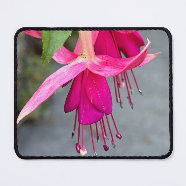 Item preview, Pink fuscia designed and sold by Jenny Dean.