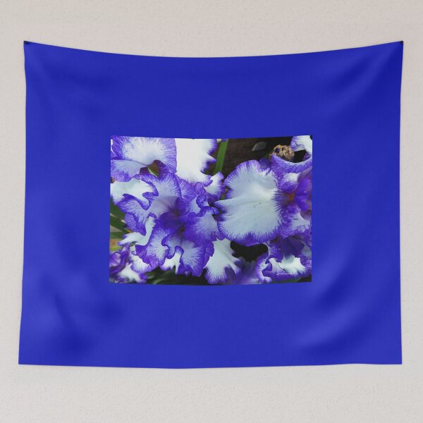 Item preview, Beautiful Blue Iris designed and sold by Vaengi.