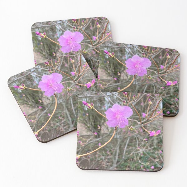 Item preview, Azalea  designed and sold by Amanda1775.