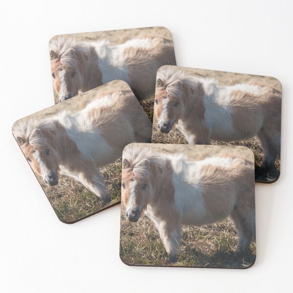 Item preview, Wild Dartmoor Pony Staring from a Marshy Patch designed and sold by rawshutterbug.