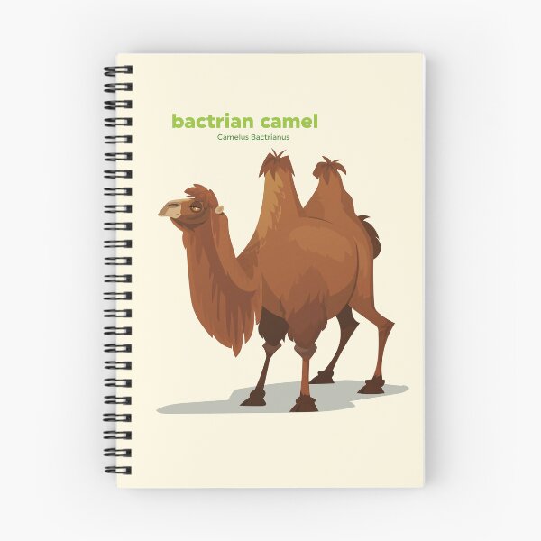Item preview, Bactrian Camel (Camelus Bactrianus) designed and sold by EstudioToona.