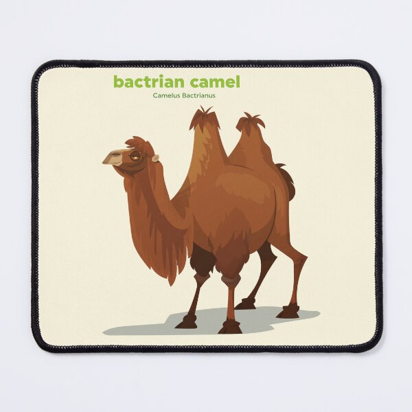 Item preview, Bactrian Camel (Camelus Bactrianus) designed and sold by EstudioToona.