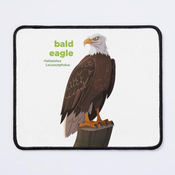 Item preview, Bald Eagle (Haliaeetus leucocephalus) designed and sold by EstudioToona.