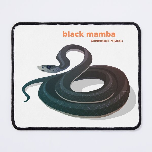 Item preview, Black mamba (Dendroaspis Polylepis) designed and sold by EstudioToona.