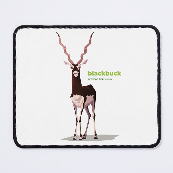 Item preview, Blackbuck (Antilope Cervicapra) designed and sold by EstudioToona.