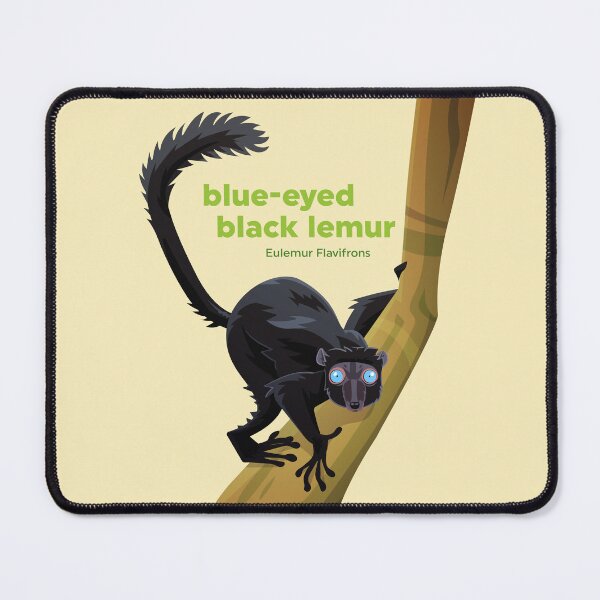Item preview, Blue-eyed Black Lemur (Eulemur Flavifrons) designed and sold by EstudioToona.