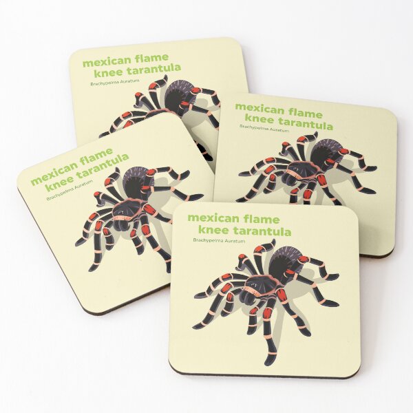 Item preview, Mexican Flame Knee Tarantula (Brachypelma Auratum) designed and sold by EstudioToona.