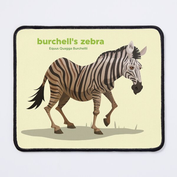 Item preview, Burchell's Zebra (Equus Quagga Burchellii) designed and sold by EstudioToona.