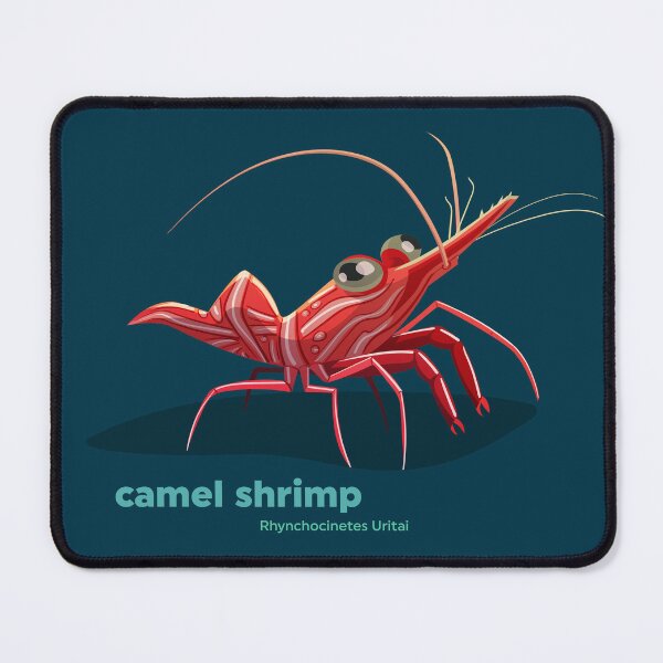 Item preview, Camel shrimp (Rhynchocinetes Uritai) designed and sold by EstudioToona.