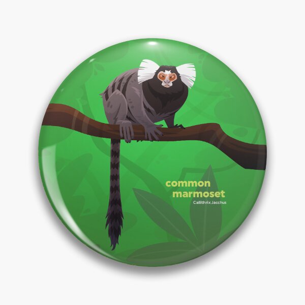 Item preview, Common Marmoset (Callithrix jacchus) designed and sold by EstudioToona.