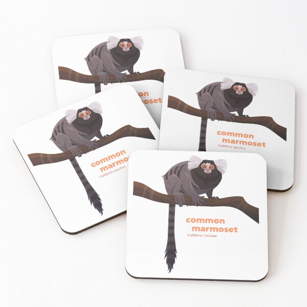 Item preview, Common Marmoset (Callithrix jacchus) designed and sold by EstudioToona.