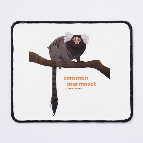 Item preview, Common Marmoset (Callithrix jacchus) designed and sold by EstudioToona.