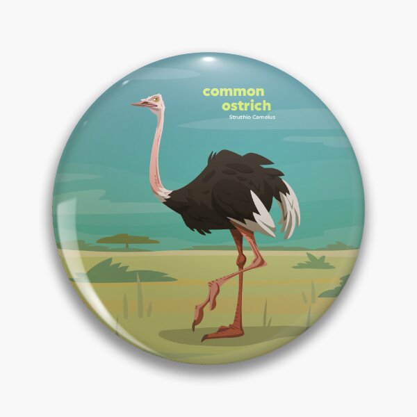 Item preview, Common Ostrich (Struthio Camelus) designed and sold by EstudioToona.