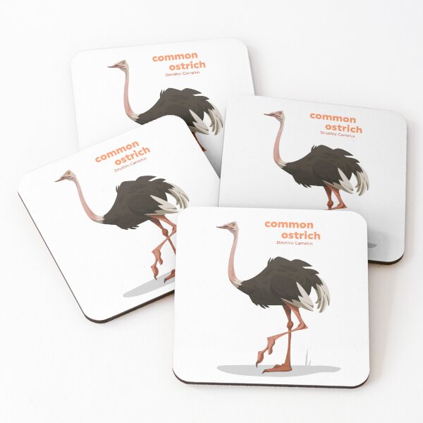 Item preview, Common Ostrich (Struthio Camelus) designed and sold by EstudioToona.