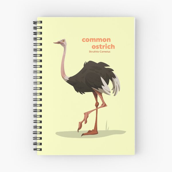 Item preview, Common Ostrich (Struthio Camelus) designed and sold by EstudioToona.