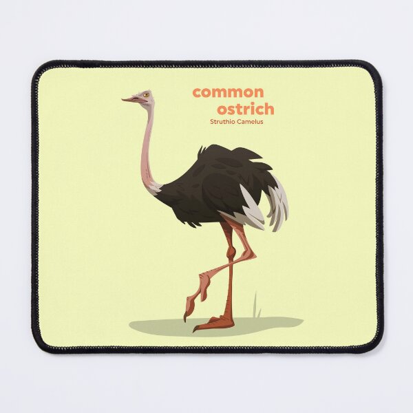 Item preview, Common Ostrich (Struthio Camelus) designed and sold by EstudioToona.