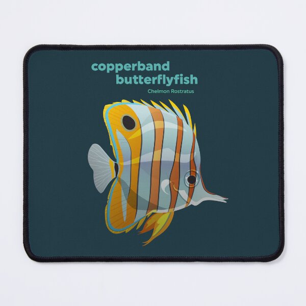 Item preview, Copperband Butterflyfish (Chelmon Rostratus) designed and sold by EstudioToona.