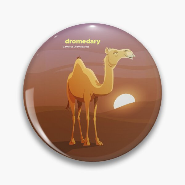 Item preview, Dromedary Camel (Camelus Dromedarius) designed and sold by EstudioToona.