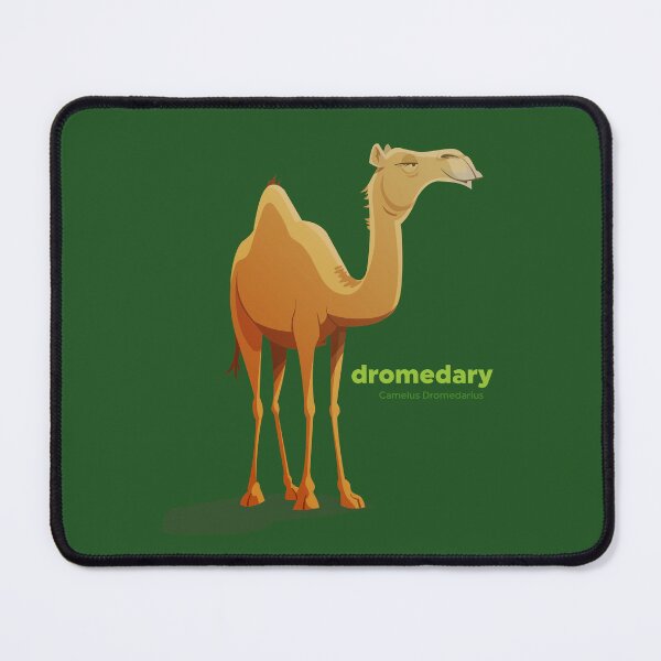 Item preview, Dromedary Camel (Camelus Dromedarius) designed and sold by EstudioToona.