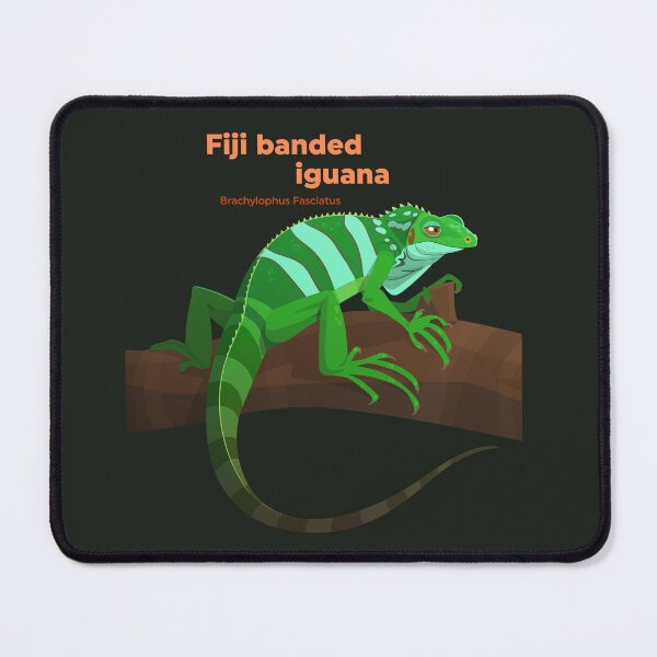 Item preview, Fiji Banded Iguana (Brachylophus Fasciatus) designed and sold by EstudioToona.