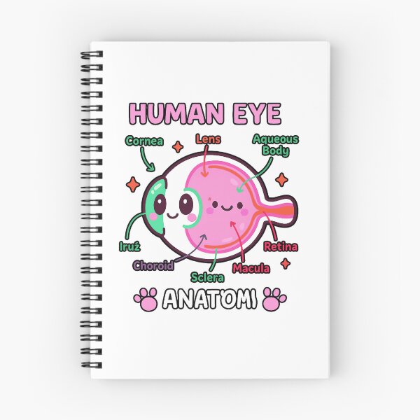Item preview, Anatomy of Human Eyeball for Medic designed and sold by queenzoid.