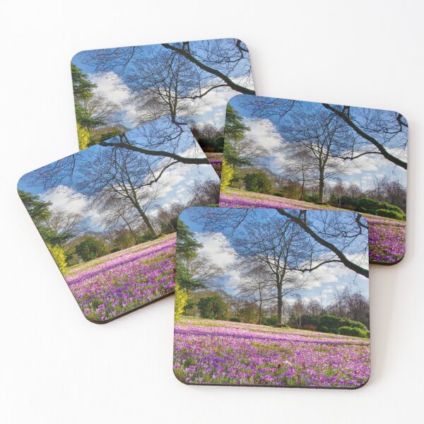 Item preview, Roundhay Park designed and sold by Alisonchambers2.