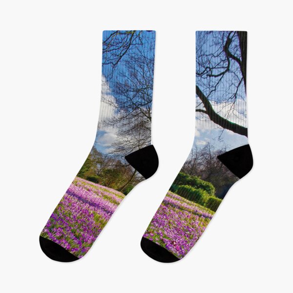 Item preview, Roundhay Park designed and sold by Alisonchambers2.