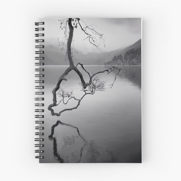 Item preview, Tree branch designed and sold by andreisky.