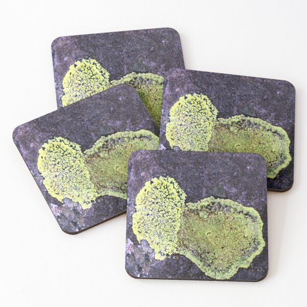 Item preview, lichen designed and sold by KathleenDawson.