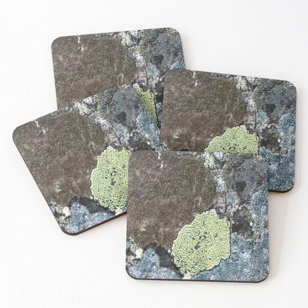 Item preview, lichen designed and sold by KathleenDawson.