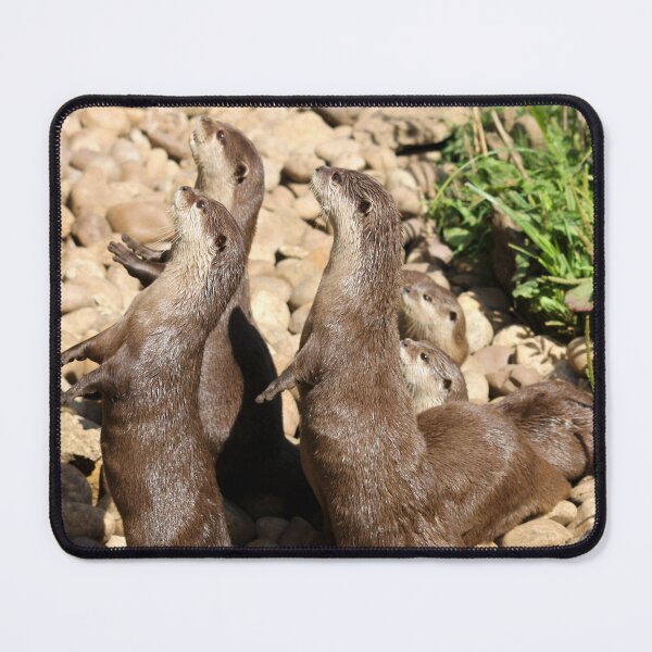 Item preview, Otter family designed and sold by JRFotography.