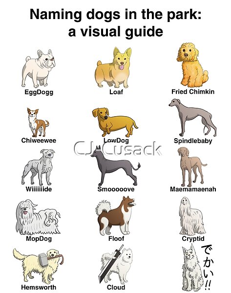 Naming dogs in the park: a visual guide (poster)