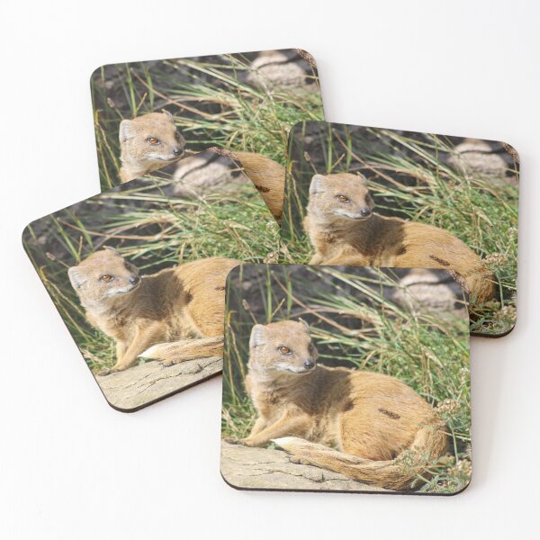 Item preview, Mongoose designed and sold by JRFotography.
