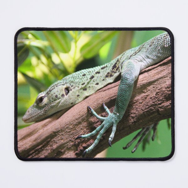 Item preview, Lizard designed and sold by JRFotography.
