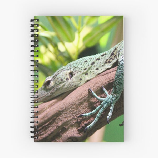 Item preview, Lizard designed and sold by JRFotography.