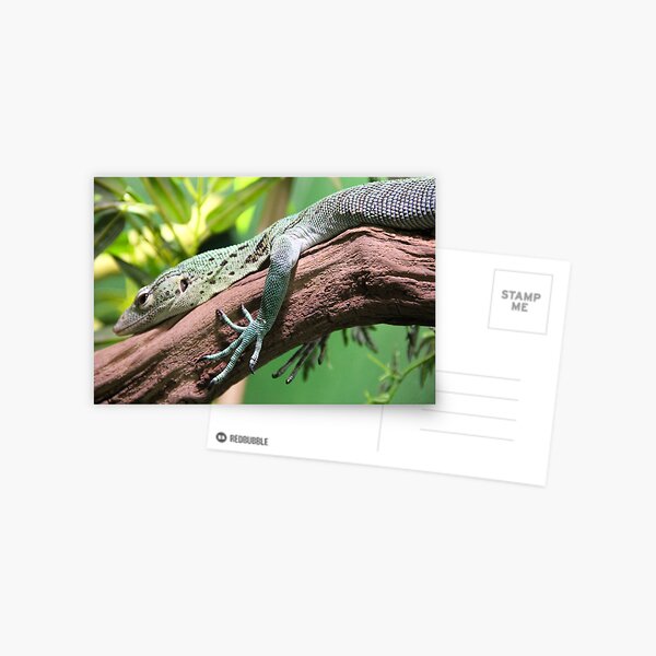 Item preview, Lizard designed and sold by JRFotography.