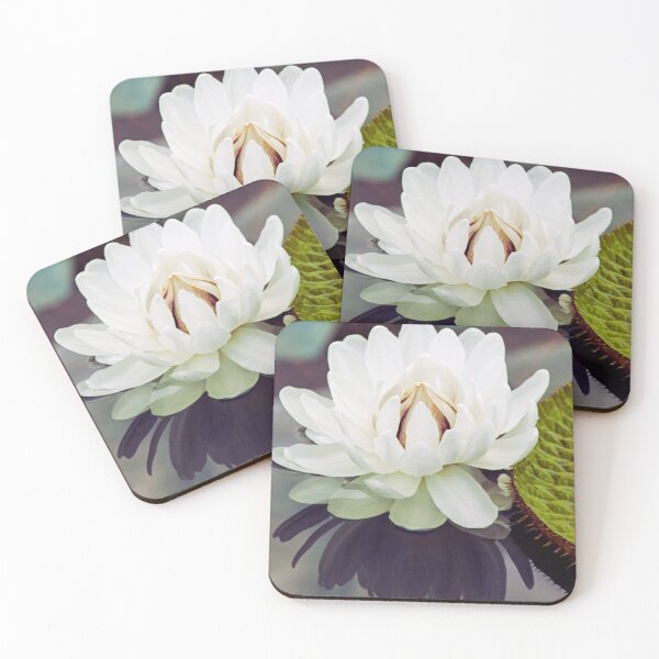 Item preview, Water Lily designed and sold by dklw2023.