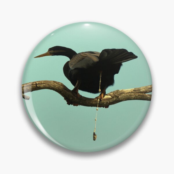 Item preview, Australasian Darter preparing for flight designed and sold by BirdsAlive.