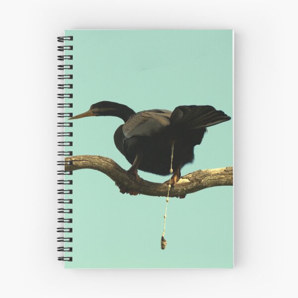 Item preview, Australasian Darter preparing for flight designed and sold by BirdsAlive.